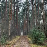 Country house Dom Kacprowy - Brzegi Lasu - Dwa Na Wylacznosc Z Ogrodem