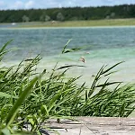 Dom Kacprowy - Brzegi Lasu - Dwa Na Wylacznosc Z Ogrodem Country house