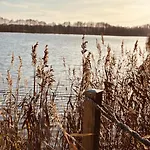 Dom Kacprowy - Brzegi Lasu - Dwa Na Wylacznosc Z Ogrodem