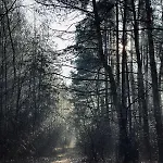 Country house Dom Kacprowy - Brzegi Lasu - Dwa Na Wylacznosc Z Ogrodem Lipnica (Slupca)