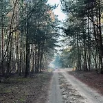 Dom Kacprowy - Brzegi Lasu - Dwa Na Wylacznosc Z Ogrodem * Lipnica (Slupca)