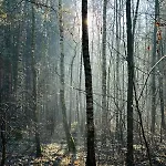 Country house Dom Kacprowy - Brzegi Lasu - Dwa Na Wylacznosc Z Ogrodem Lipnica (Slupca)