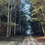 Country house Dom Kacprowy - Brzegi Lasu - Dwa Na Wylacznosc Z Ogrodem *