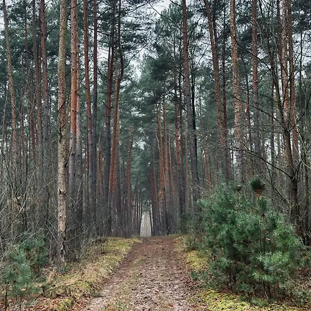 Country house Dom Kacprowy - Brzegi Lasu - Dwa Na Wylacznosc Z Ogrodem