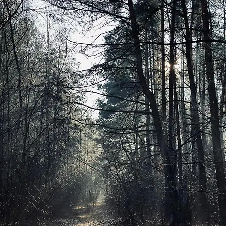 Venkovský dům Dom Kacprowy - Brzegi Lasu - Dwa Na Wylacznosc Z Ogrodem Lipnica (Slupca)