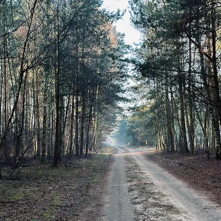 Dom Kacprowy - Brzegi Lasu - Dwa Na Wylacznosc Z Ogrodem * Lipnica (Slupca)