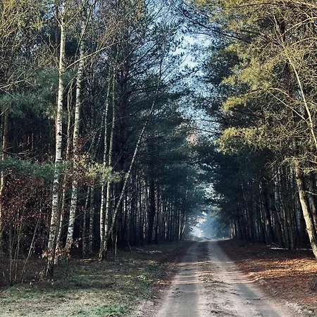 Country house Dom Kacprowy - Brzegi Lasu - Dwa Na Wylacznosc Z Ogrodem *