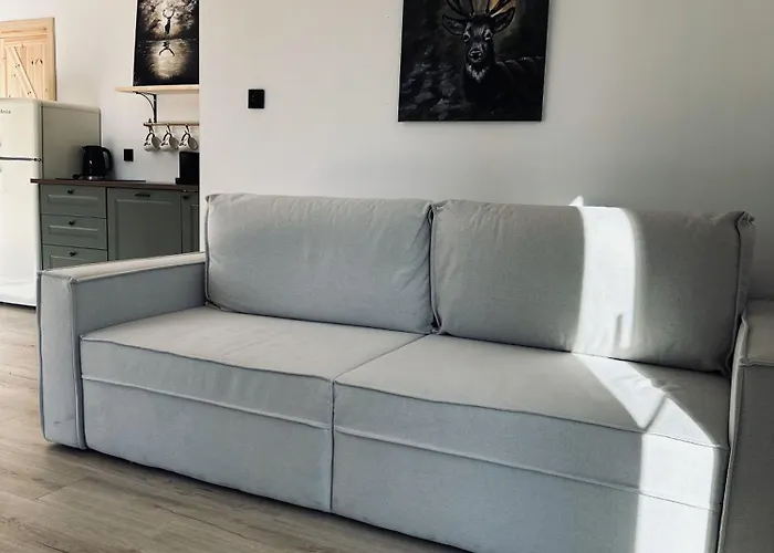 Dom Kacprowy - Brzegi Lasu - Dwa Na Wylacznosc Z Ogrodem Country house *