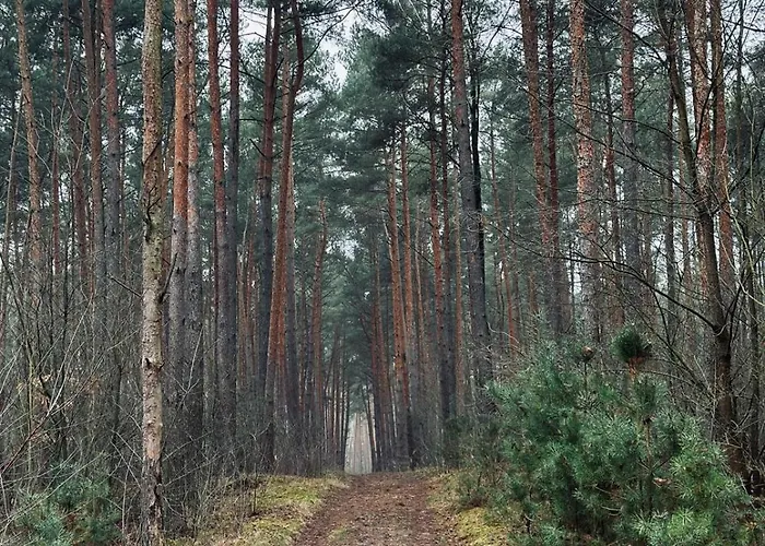 Country house Dom Kacprowy - Brzegi Lasu - Dwa Na Wylacznosc Z Ogrodem