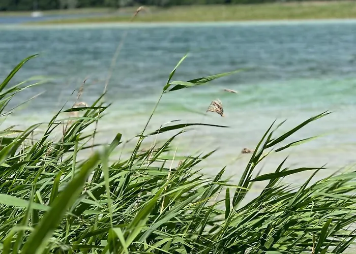 Dom Kacprowy - Brzegi Lasu - Dwa Na Wylacznosc Z Ogrodem Country house