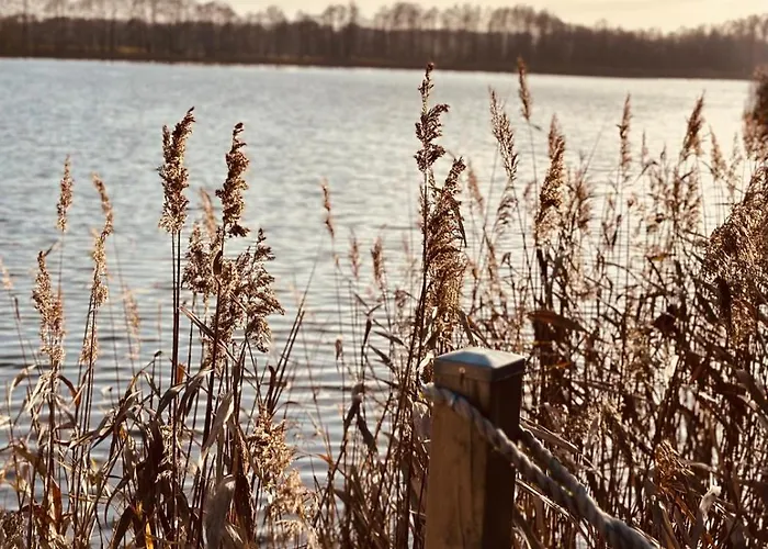 Dom Kacprowy - Brzegi Lasu - Dwa Na Wylacznosc Z Ogrodem