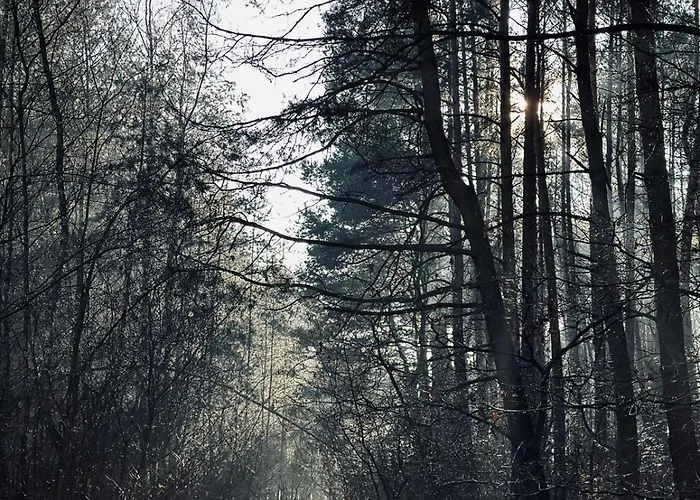 Country house Dom Kacprowy - Brzegi Lasu - Dwa Na Wylacznosc Z Ogrodem Lipnica (Slupca)