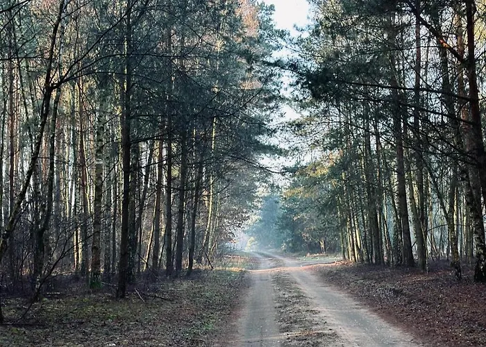 Dom Kacprowy - Brzegi Lasu - Dwa Na Wylacznosc Z Ogrodem * Lipnica (Slupca)