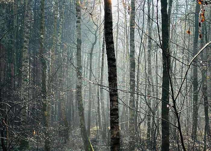 Country house Dom Kacprowy - Brzegi Lasu - Dwa Na Wylacznosc Z Ogrodem Lipnica (Slupca)