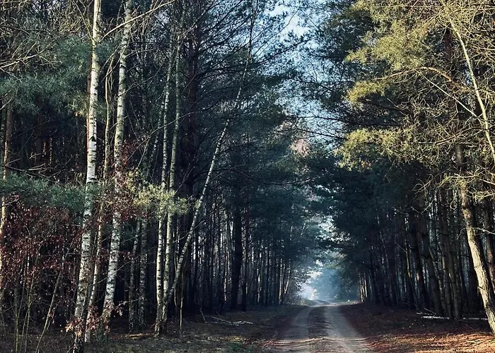 Country house Dom Kacprowy - Brzegi Lasu - Dwa Na Wylacznosc Z Ogrodem *